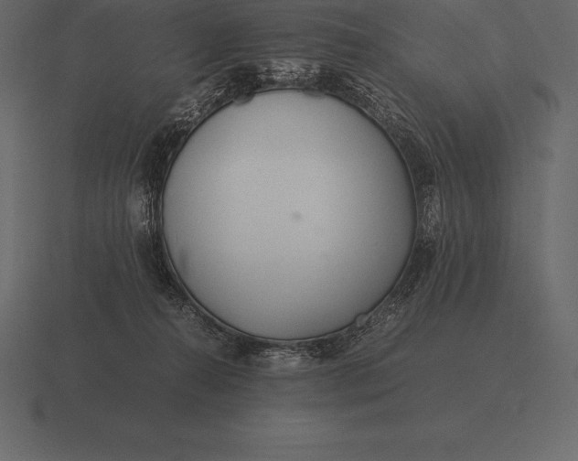 X0000116560272200912241620