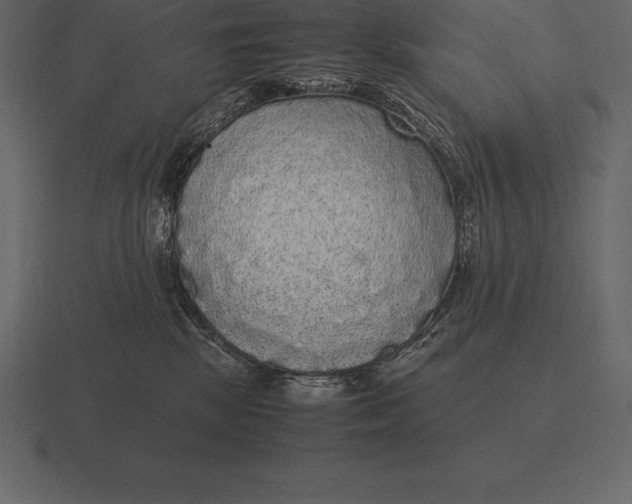 X0000116560281200912241620