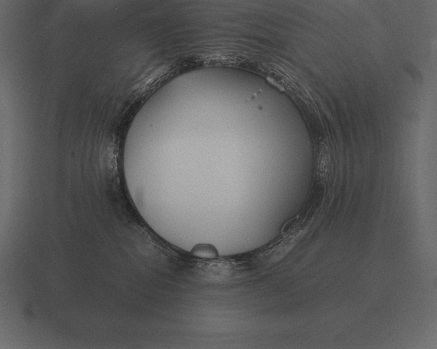 X0000116560282200912241621