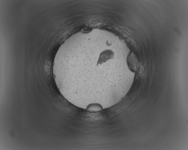 X0000116560283200912241621