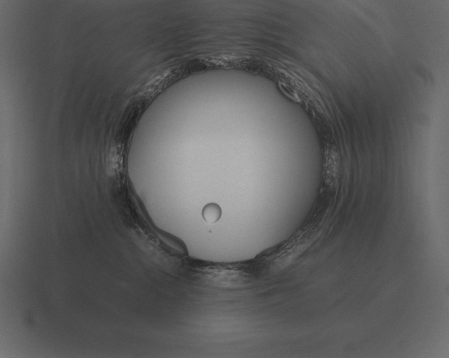 X0000116560284200912241621