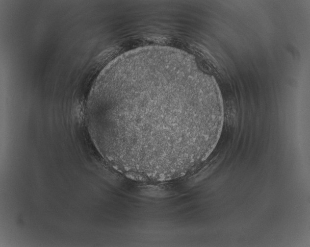 X0000116560285200912241621