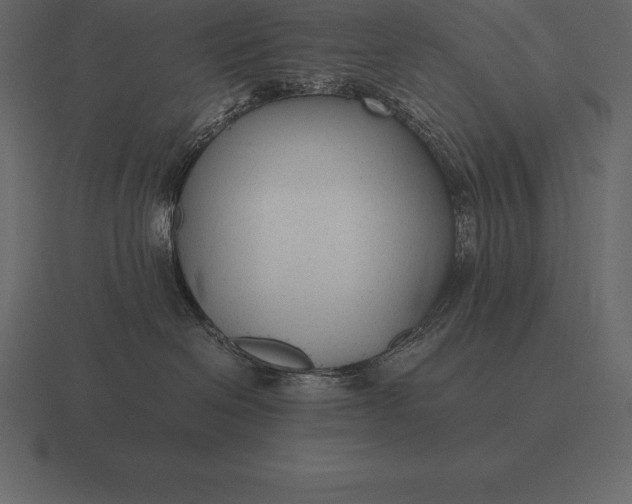 X0000116560286200912241621