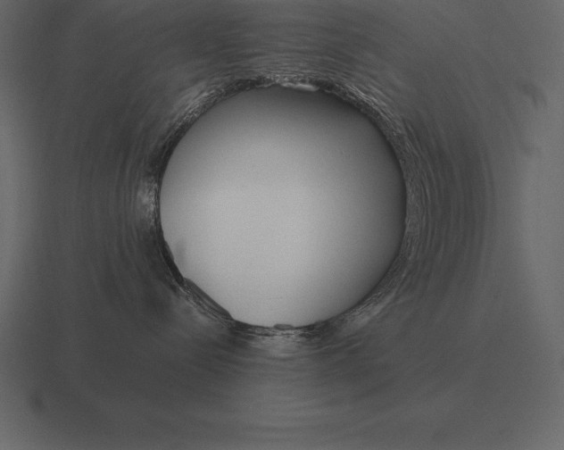 X0000116560288200912241621