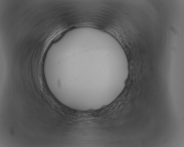 X0000116560289200912241620