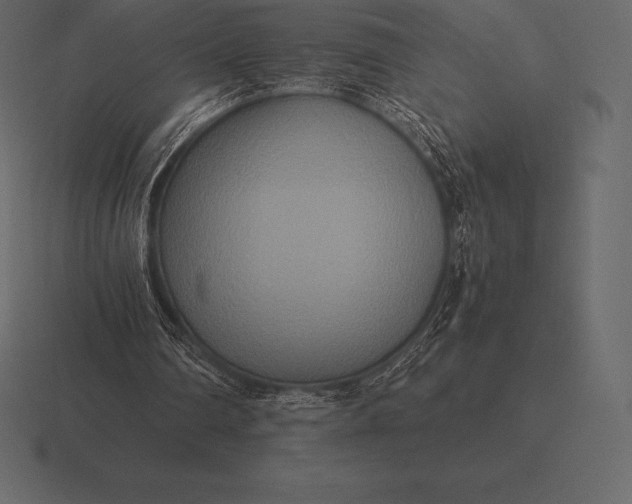 X0000116560290200912241620