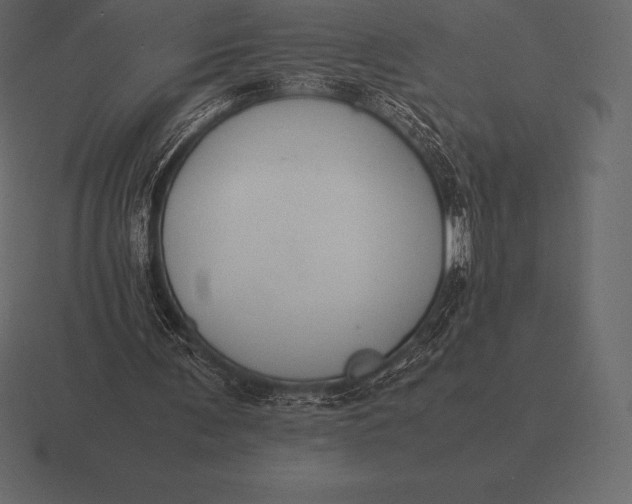 X0000116560291200912241620