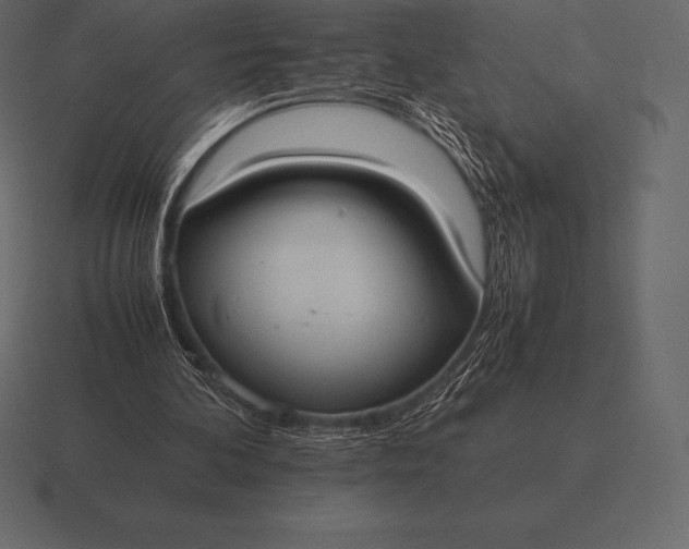 X0000116560292200912241620