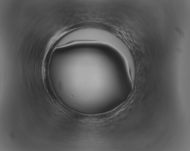 X0000116560294200912241620