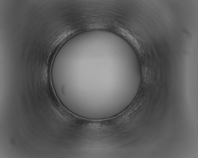 X0000116560298200912241620