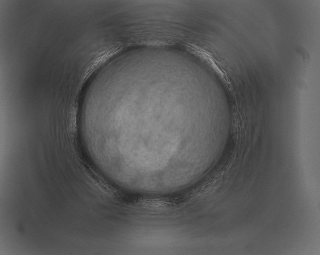 X0000116560299200912241620