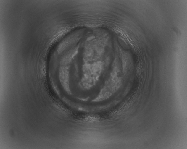 X0000116560303200912241620