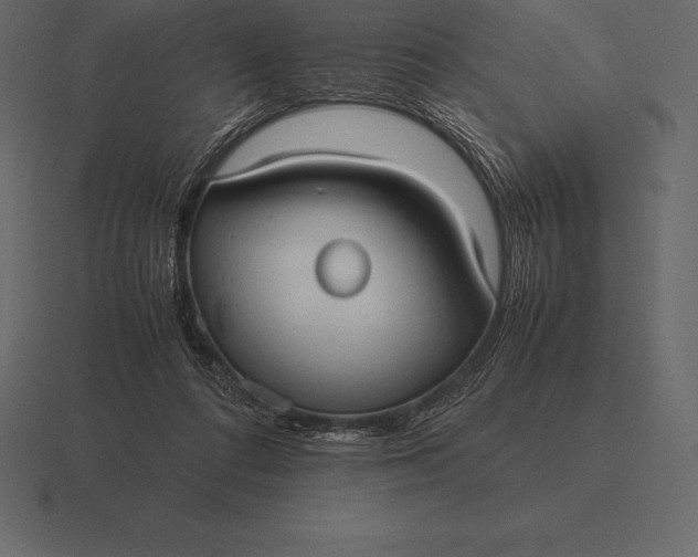 X0000116560312200912241620