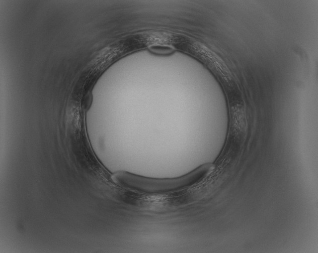 X0000116560313200912241620