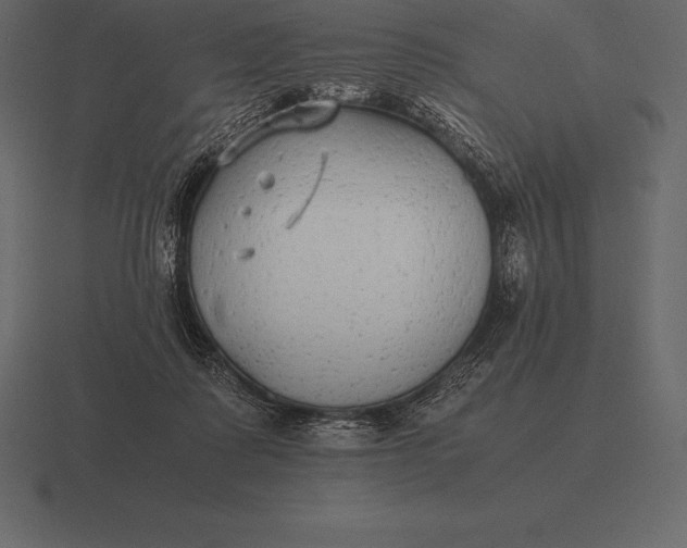 X0000116560315200912241620