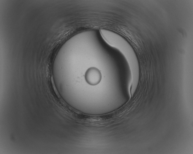 X0000116560317200912241620