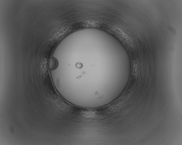 X0000116560318200912241620