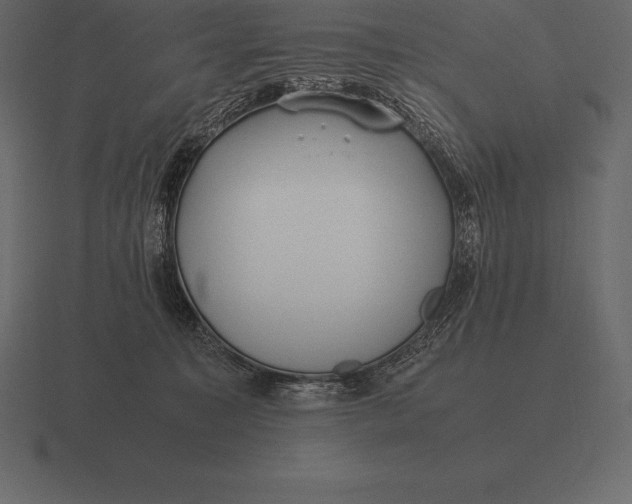 X0000116560323200912241620