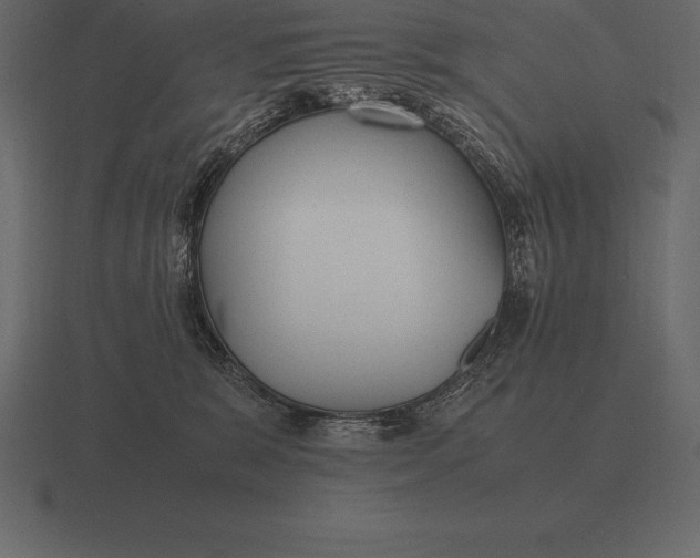 X0000116560327200912241619