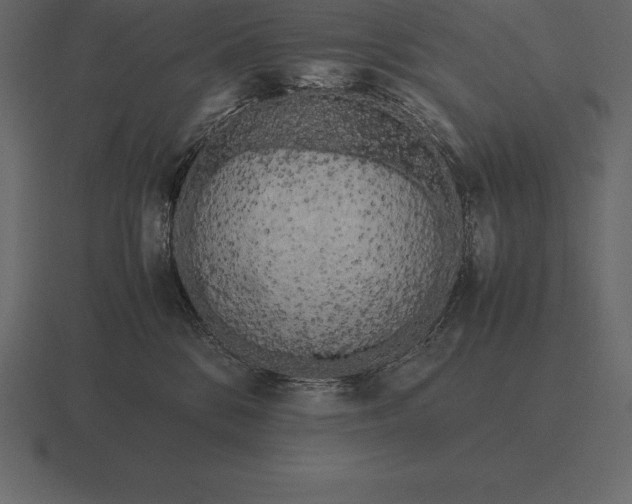 X0000116560328200912241619