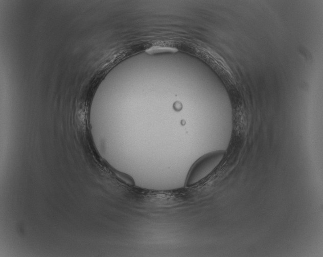 X0000116560329200912241619