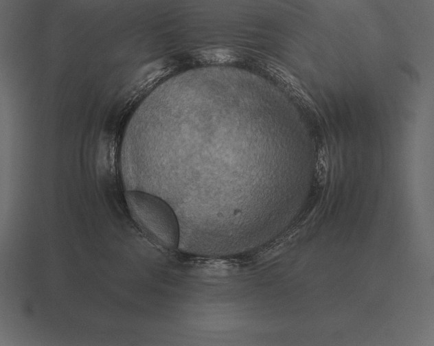 X0000116560330200912241619