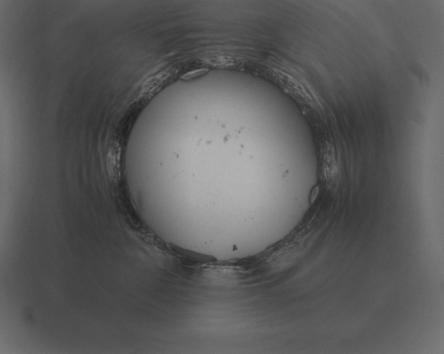 X0000116560332200912241619