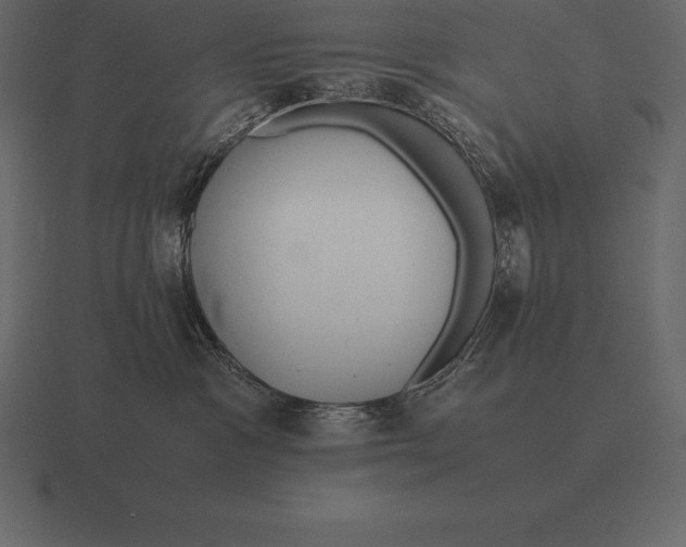 X0000116560333200912241619