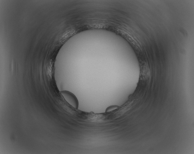 X0000116560334200912241619