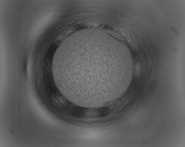 X0000116560335200912241619