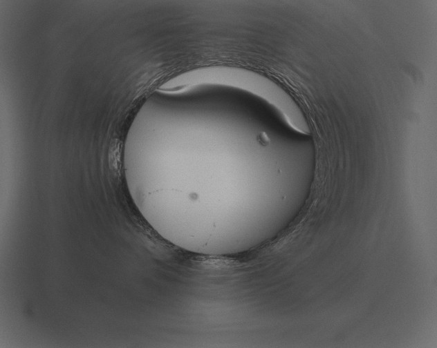 X0000116560336200912241619