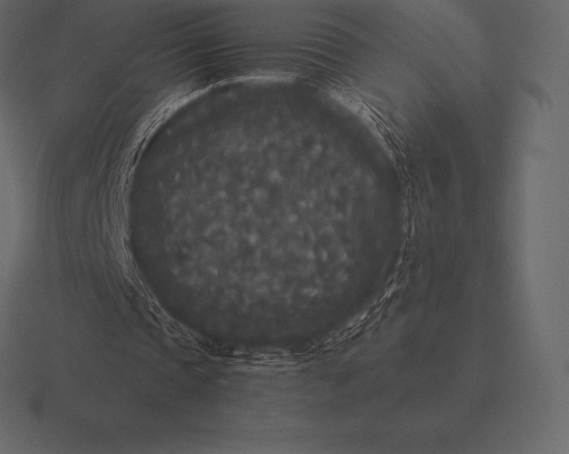 X0000116560337200912241619