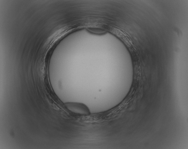 X0000116560338200912241619