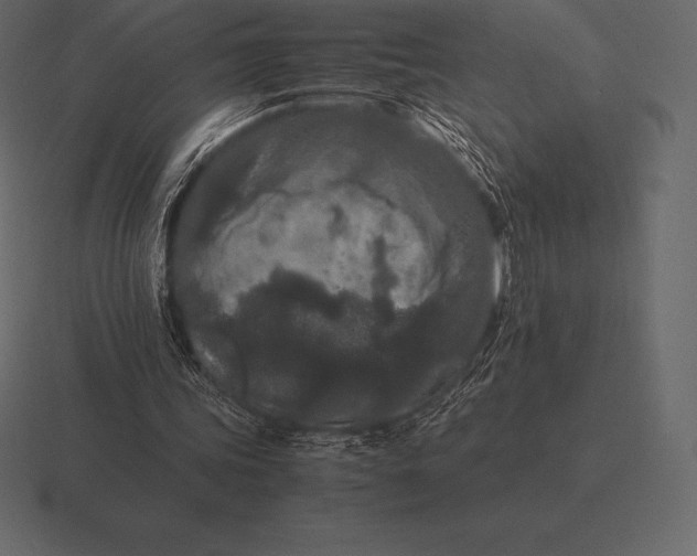 X0000116560339200912241619