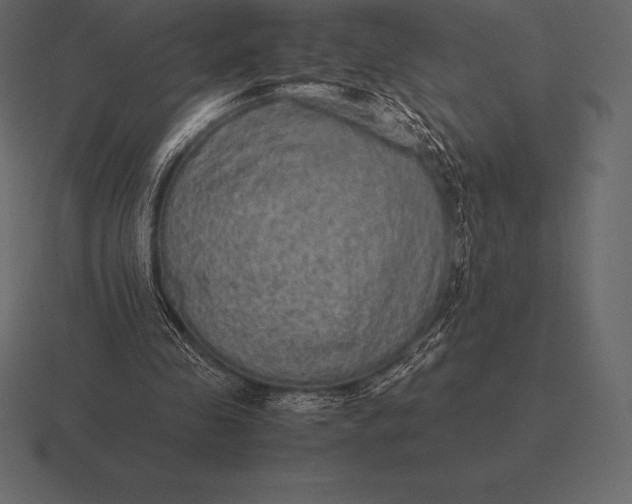 X0000116560341200912241619