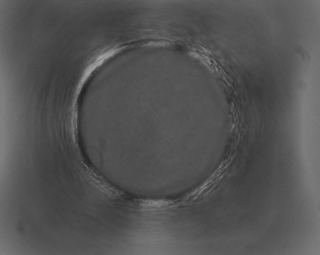 X0000116560342200912241619