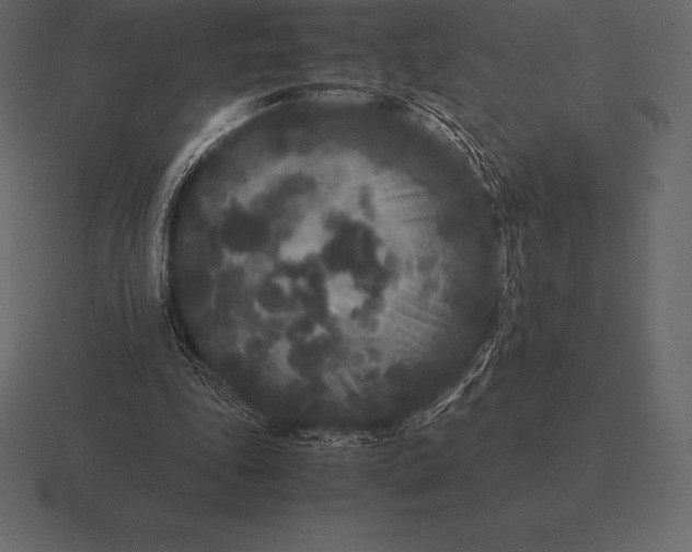 X0000116560343200912241619