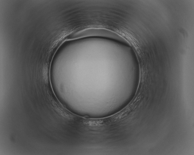 X0000116560345200912241619