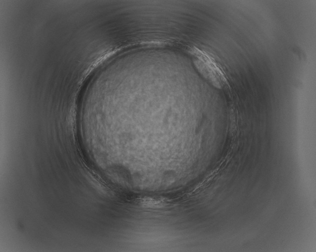 X0000116560346200912241619