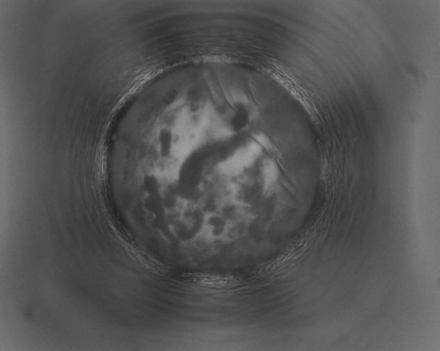 X0000116560347200912241619