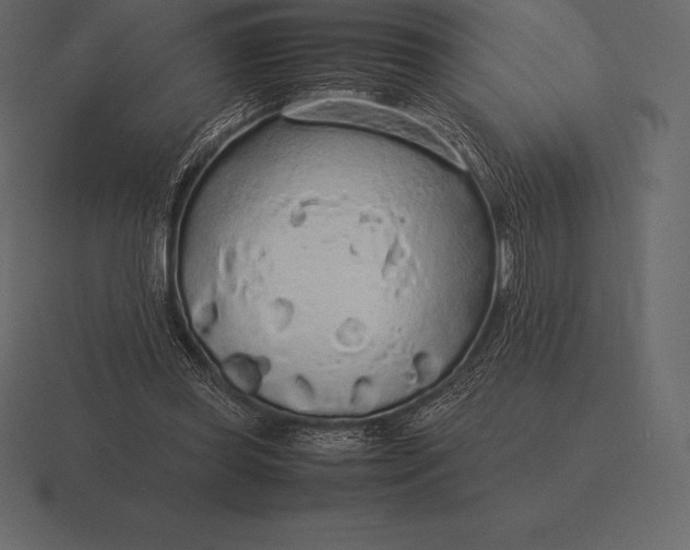 X0000116560349200912241619