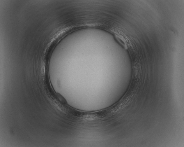 X0000116560350200912241619