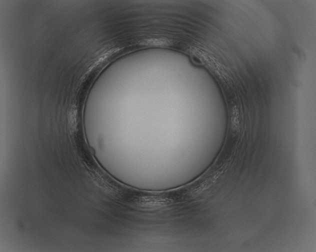 X0000116560351200912241619