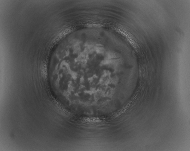 X0000116560353200912241619