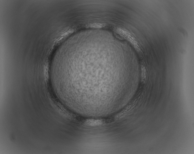 X0000116560354200912241619