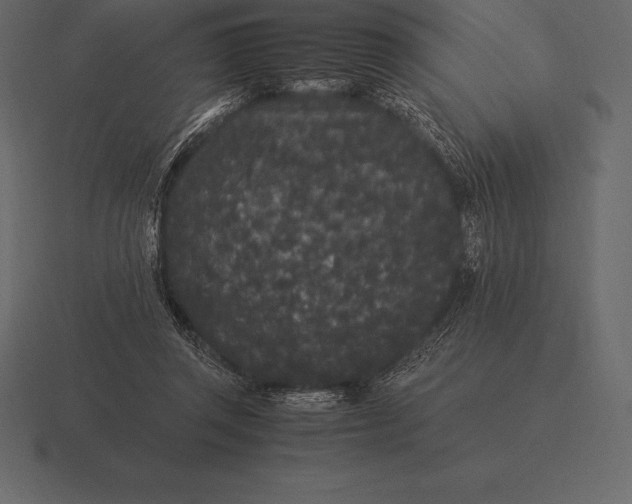 X0000116560357200912241619