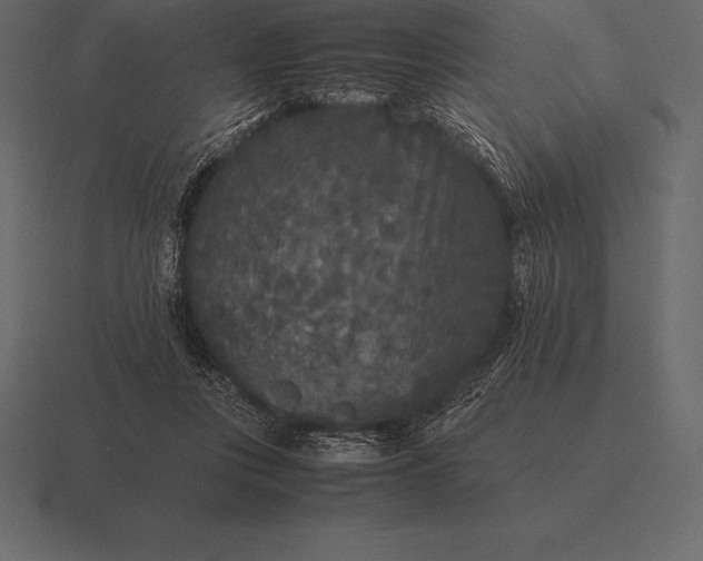 X0000116560359200912241619