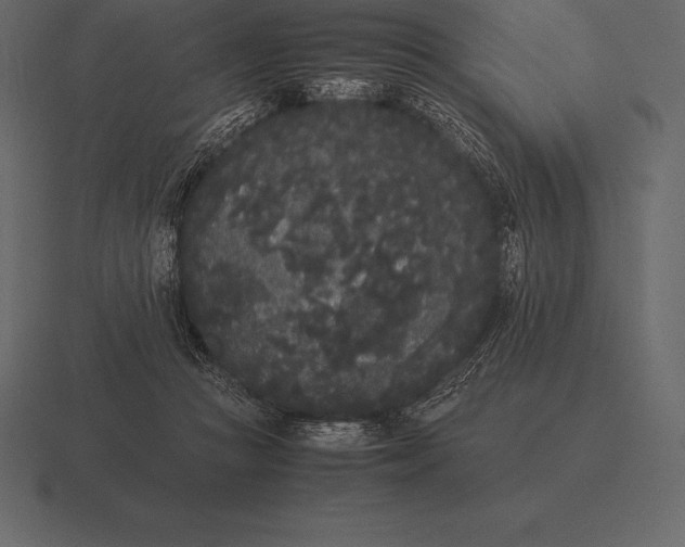 X0000116560361200912241619