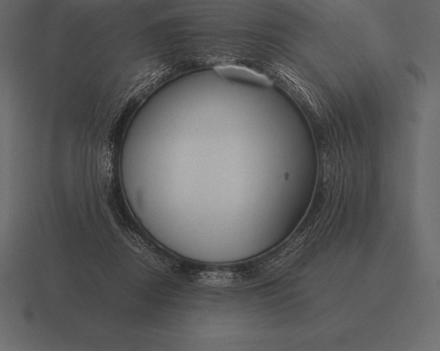 X0000116560362200912241619