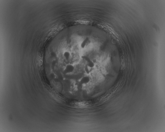 X0000116560365200912241619